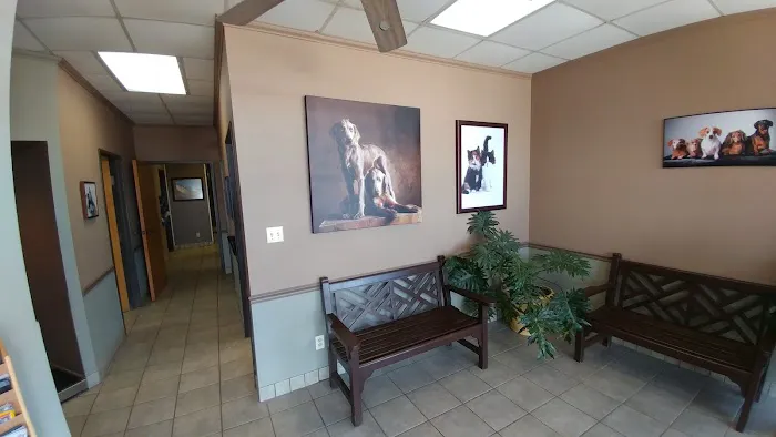 Chase Oaks Animal Clinic Picture 3