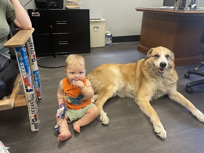 Legacy Drive Animal Hospital Picture 1