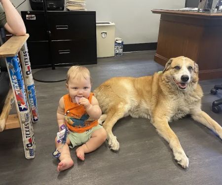 Legacy Drive Animal Hospital
