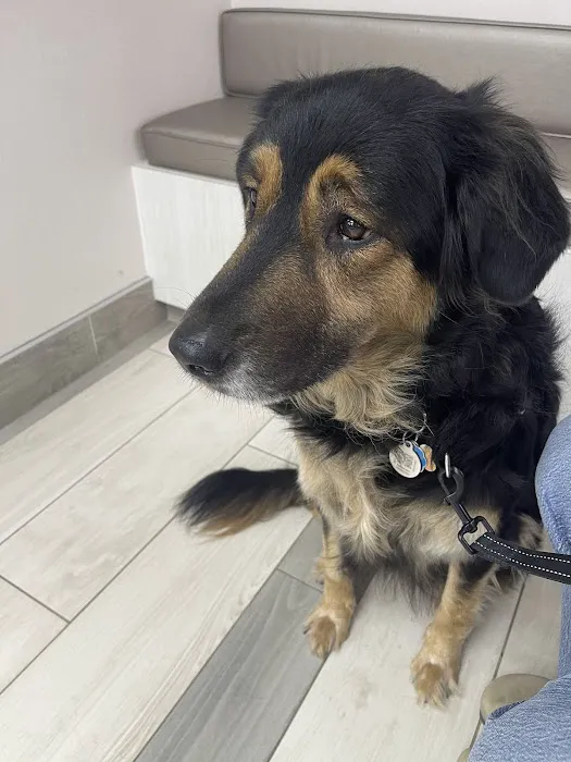 Legacy Drive Animal Hospital Picture 8