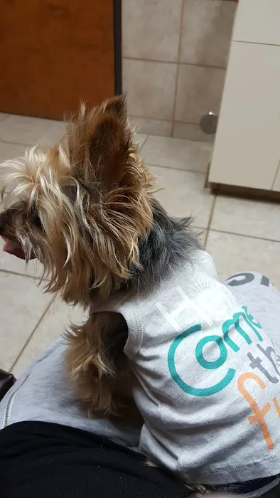 VCA North Plano Animal Hospital Picture 1