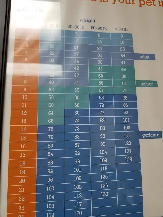 VCA North Plano Animal Hospital Picture 4
