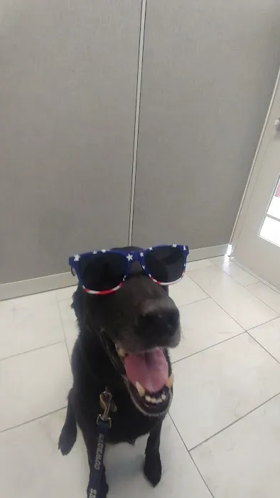 WyliePets Picture 2