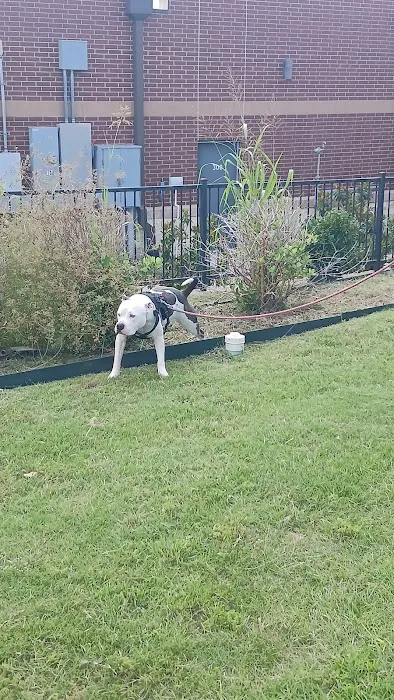 East Plano Murphy Pet Hospital Picture 9