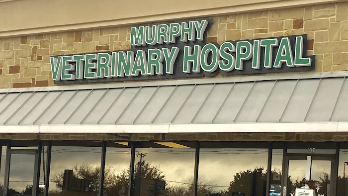 Murphy Veterinary Hospital Picture 9