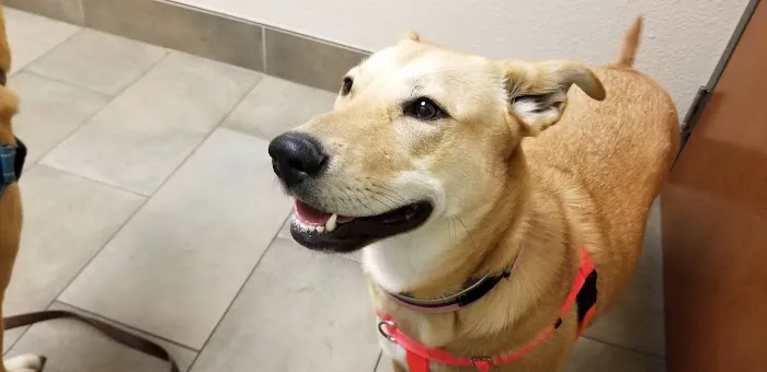 Murphy Veterinary Hospital Picture 6