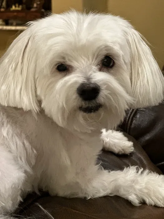 Murphy Veterinary Hospital Picture 7
