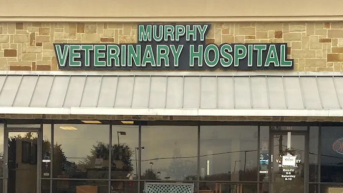 Murphy Veterinary Hospital Picture 10