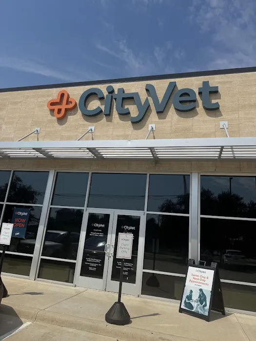 CityVet | Murphy Picture 1