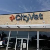 CityVet | Murphy ico