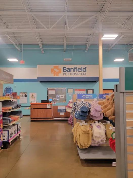 Banfield Pet Hospital Picture 4