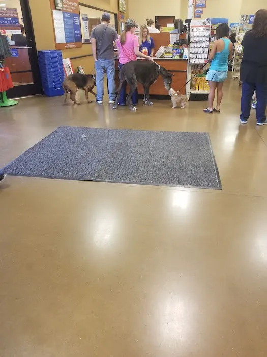 Banfield Pet Hospital Picture 8