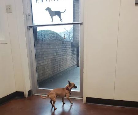 Animal Medical Clinic