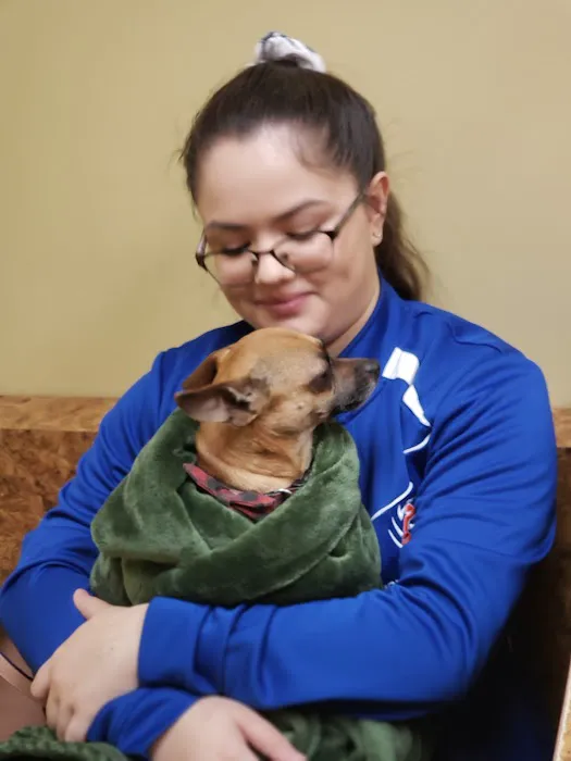 Animal Medical Clinic Picture 4