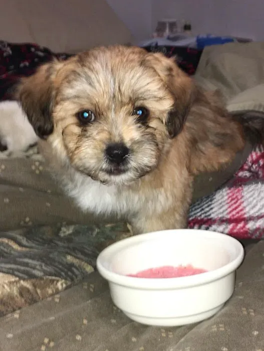 Animal Medical Clinic Picture 2