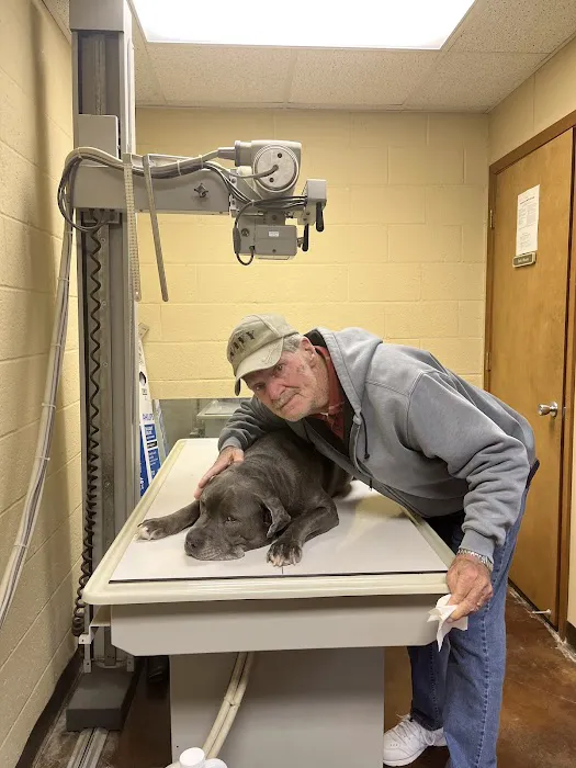 Animal Medical Clinic Picture 9