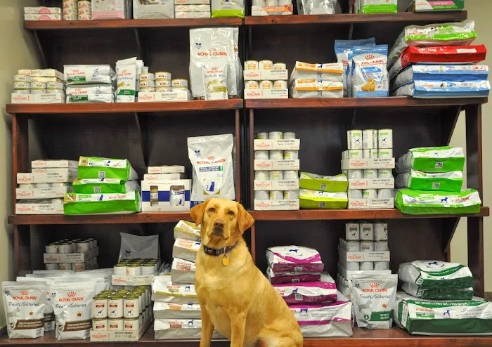 Northside Animal Clinic Picture 10