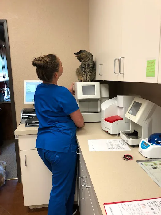 Nolan River Animal Hospital Picture 6