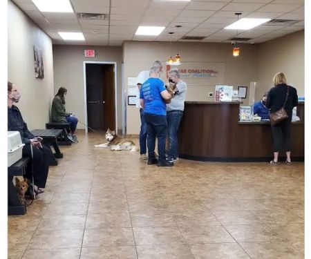 Texas Coalition for Animal Protection