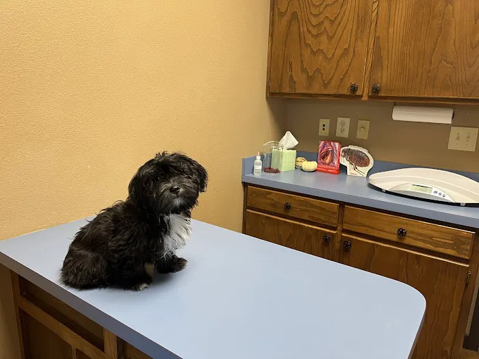 East Renfro Animal Clinic Picture 2