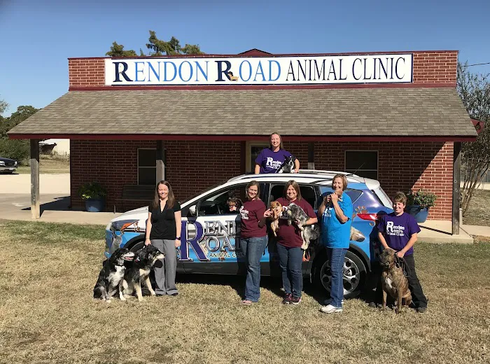 Rendon Rd Animal Clinic PC Picture 5