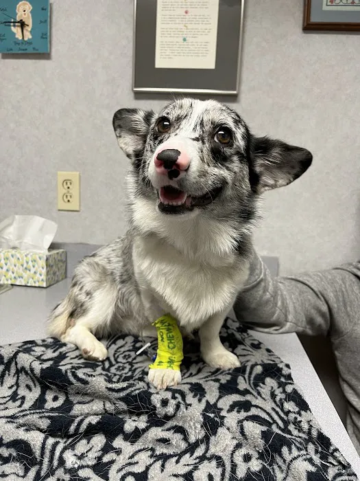 Joshua Animal Clinic Picture 2