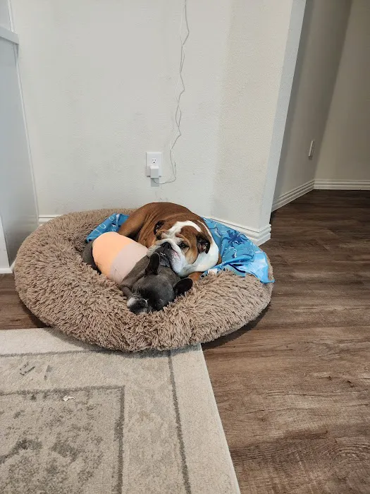 Guardian Veterinary Center Picture 6