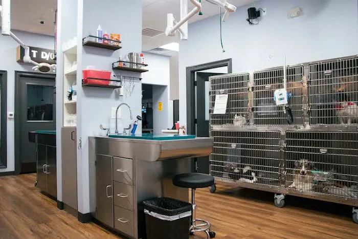 Guardian Veterinary Center Picture 7
