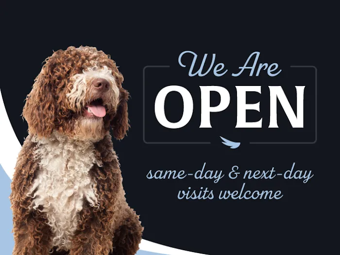 Guardian Veterinary Center Picture 9
