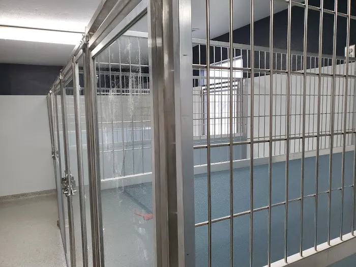 Country Friends Veterinary Clinic (CFVC) Picture 5