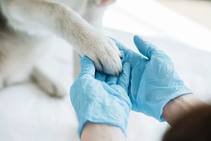 Quinlan Animal Clinic Picture 1