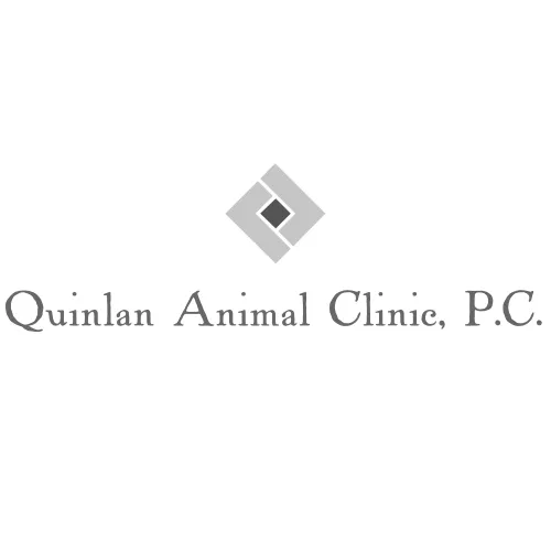 Quinlan Animal Clinic Picture 3