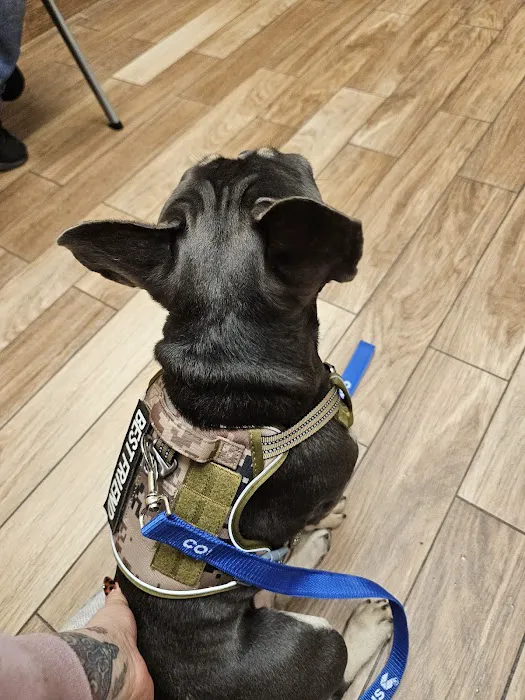 Lake Lavon Animal Hospital Picture 1