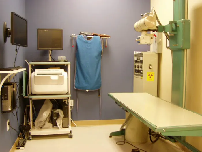 Lake Lavon Animal Hospital Picture 5