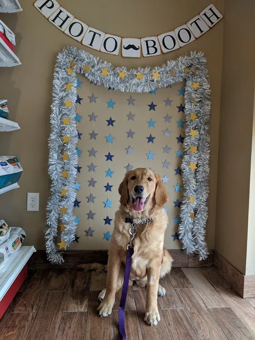 Lake Lavon Animal Hospital Picture 9