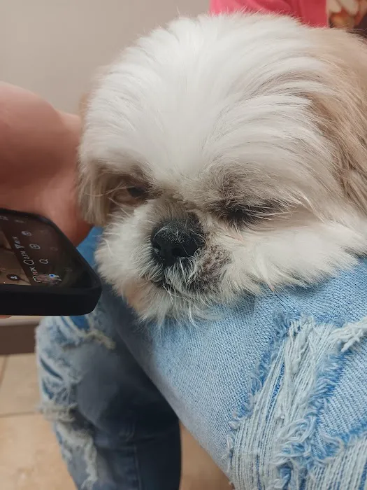 Parker Road Veterinary Hospital Picture 5