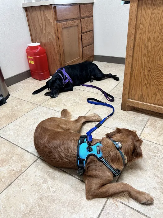 Parker Road Veterinary Hospital Picture 9