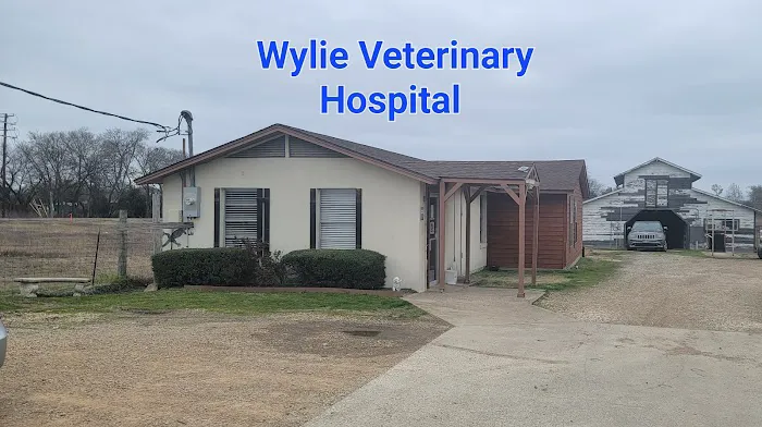 Wylie Veterinary Hospital Picture 3