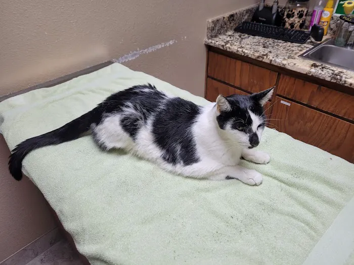 Wylie Veterinary Hospital Picture 5