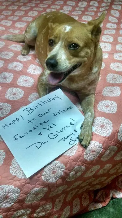 Wylie Veterinary Hospital Picture 10