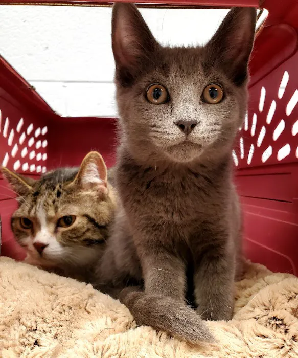 Imlay City Veterinary Clinic Picture 1
