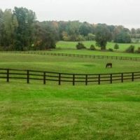 Moore Equine Veterinary Services ico