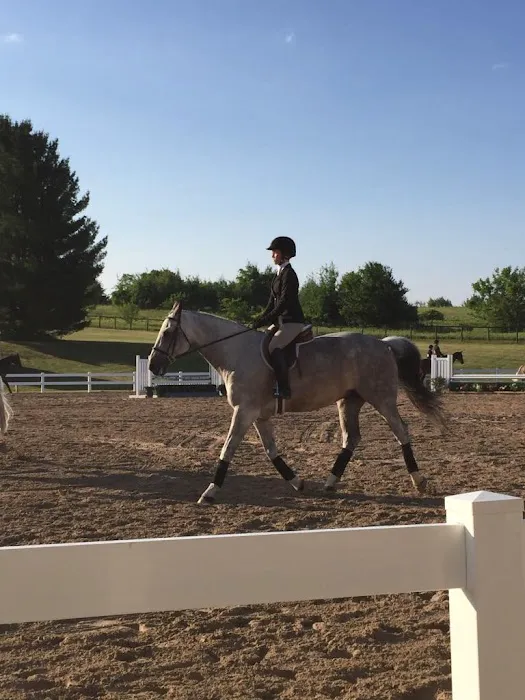 Moore Equine Veterinary Services Picture 4