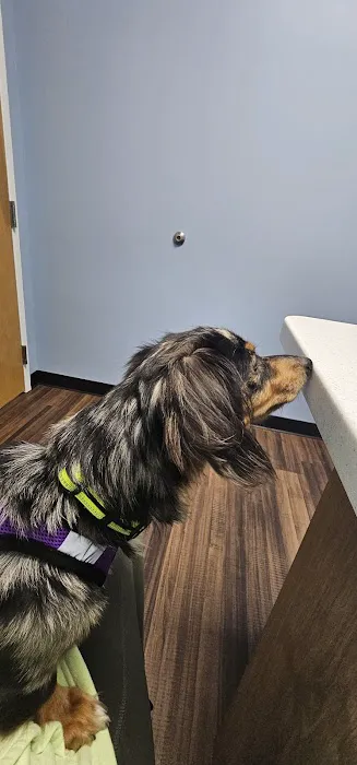 Doctor Paws Veterinary Hospital Picture 3