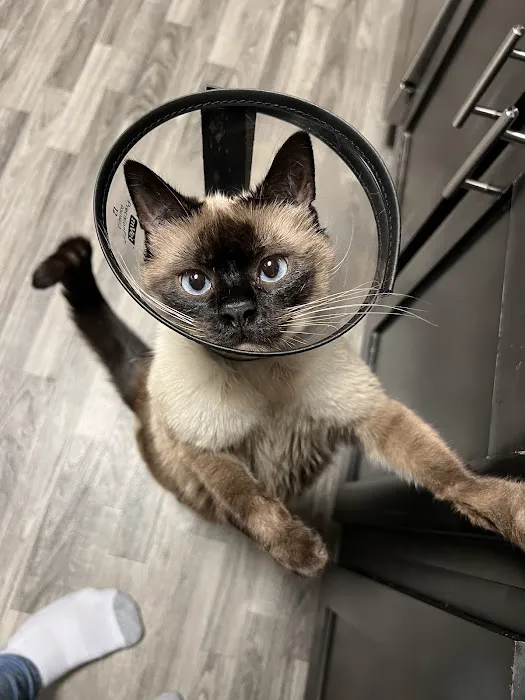 Doctor Paws Veterinary Hospital Picture 6