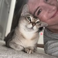 BluePearl Pet Hospital ico