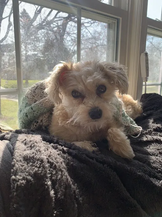 BluePearl Pet Hospital Picture 8
