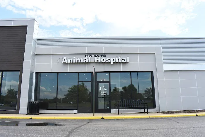 South Arbor Animal Hospital Picture 10