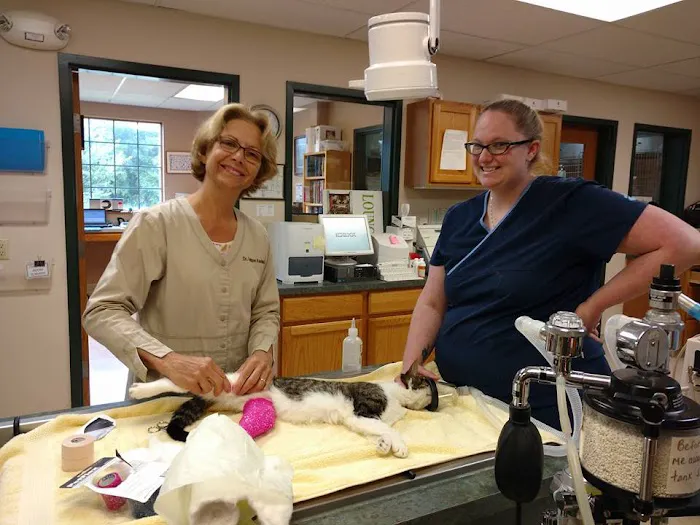 Ann Arbor Cat Clinic Picture 9
