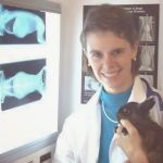 All Creatures Animal Clinic: Dr. Alexander, Dr. Zechar